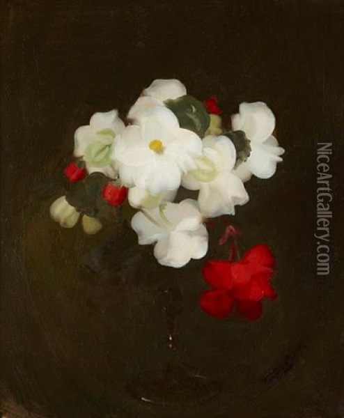 Peony Roses Oil Painting - Stuart James Park