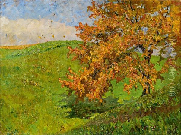 Baum In Herbstlichem Licht Oil Painting - Olga Wisinger-Florian