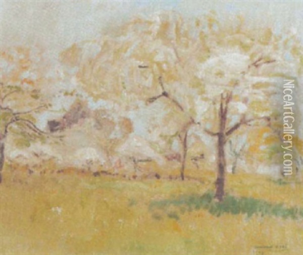 Bluhende Obstbaumwiese Im Sonnenschein Oil Painting - Armand Adrien Marie Apol