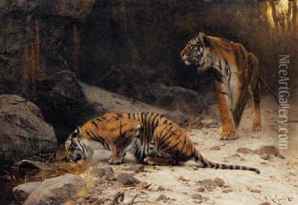 Tigers At A Drinking Pool Oil Painting - Wilhelm Friedrich Kuhnert