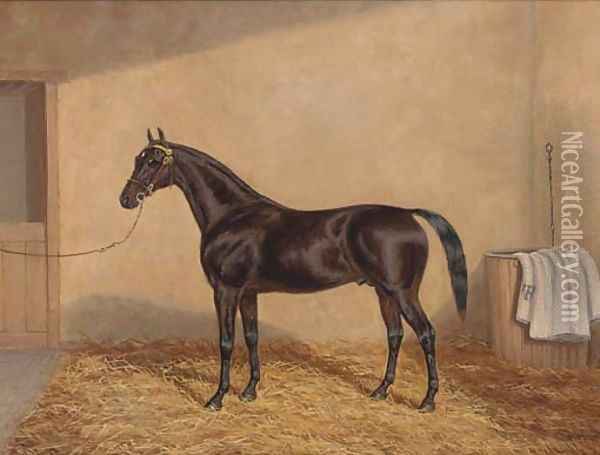 A bay racehorse in a stable Oil Painting - A. Clark