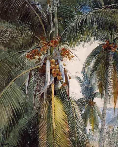 Coconut Palms, Key West Oil Painting - Winslow Homer