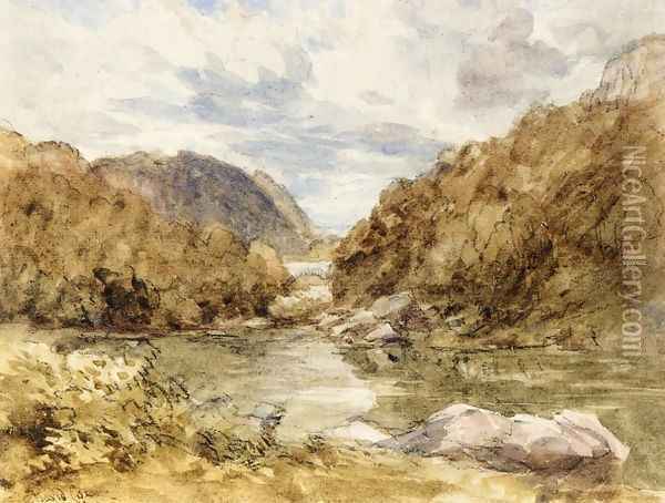 Pont-Y-Pair, near Bettwys-Y-Coed, North Wales Oil Painting - David Cox