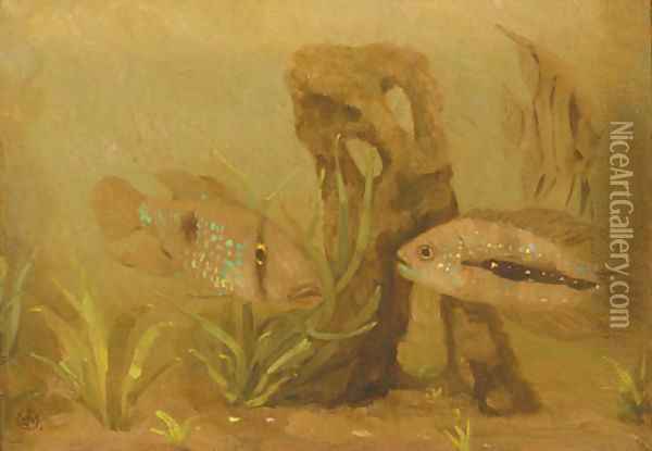 Kameleon vissen Oil Painting - Gerrit Willem Dijsselhof