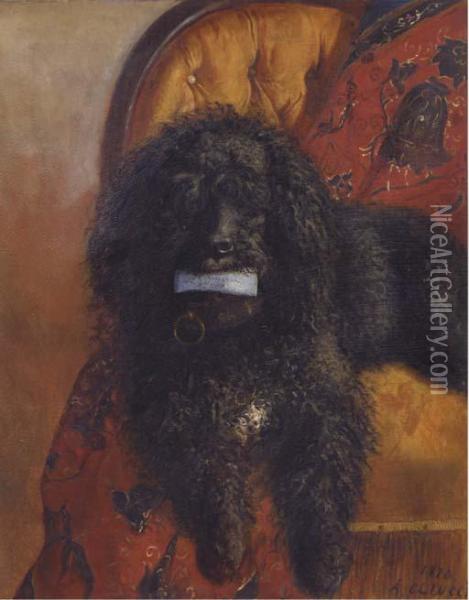 Pretty Poodle Oil Painting - A. Colucci