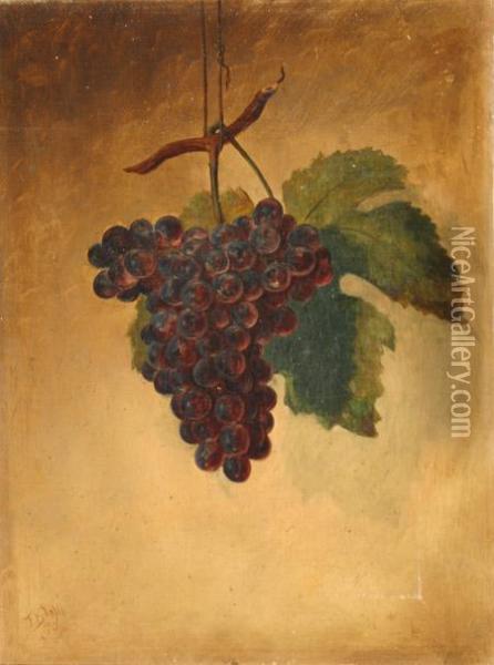 Still Life Of Hanging Grapes Oil Painting - Thomas Benjamin Pope