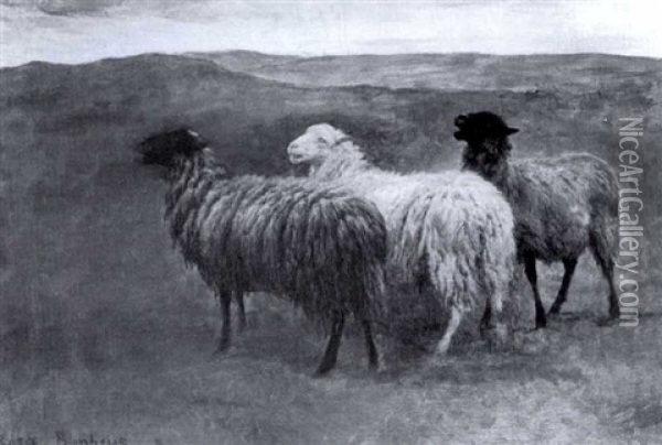 Moutons Oil Painting - Rosa Bonheur