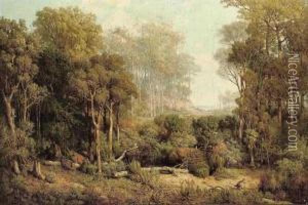 Australischer Wald Oil Painting - Josef Selleny