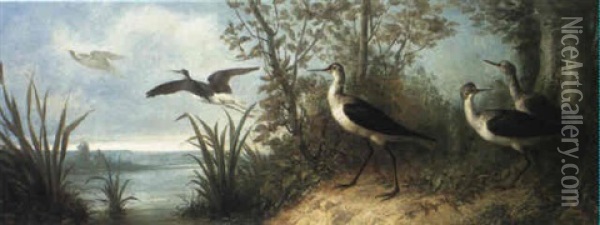 Curlews By A Lake Oil Painting - Isidore De Rudder