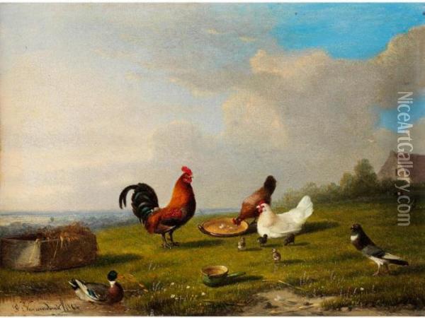 Hahn Mit Seinen Hennen Und Kuken An Einer Futterschale Oil Painting - Franz van Severdonck
