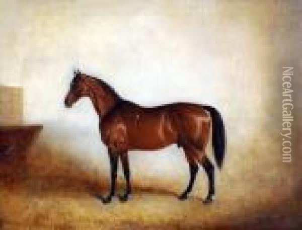 Chestnut Horse In Stable Interior Oil Painting - John Snr Ferneley