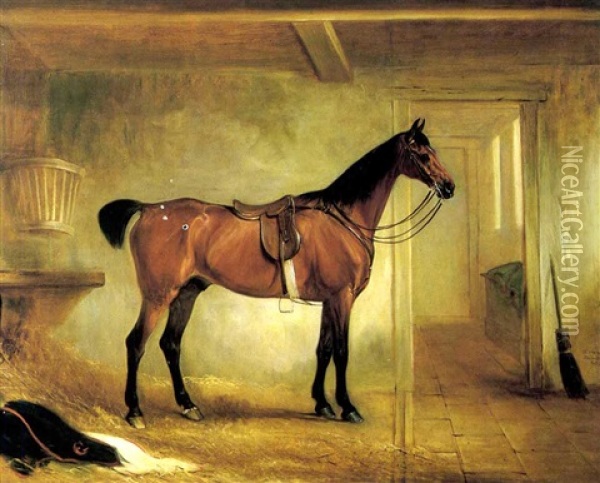 A Bay Hunter Saddled Up In A Stable Oil Painting - John E. Ferneley