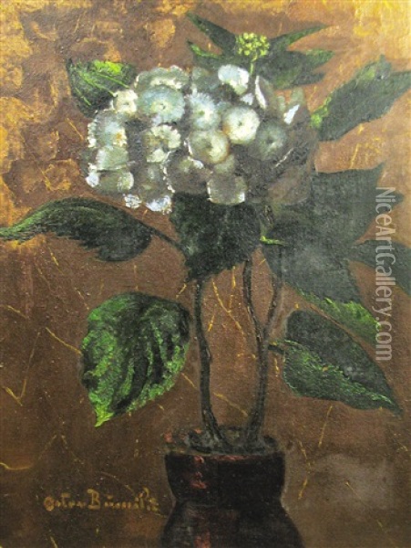 Hydragenas Oil Painting - Octav Bancila