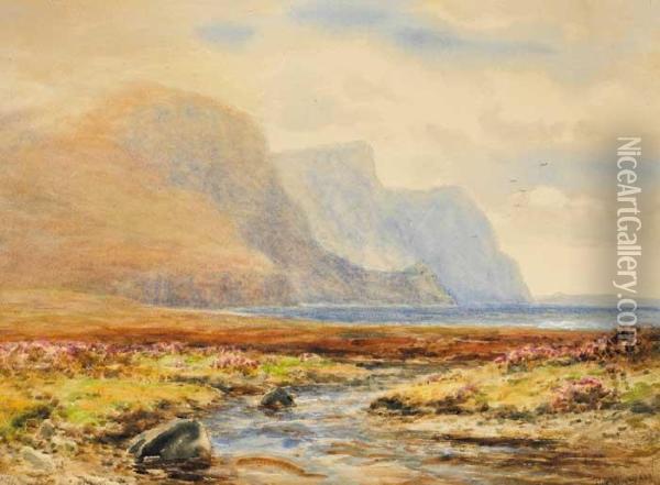 Minaun Cliffs, Achill Oil Painting - Alexander Williams
