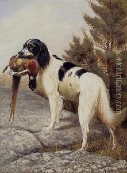 Hunting Dog With Pheasant Oil Painting - Alexander Pope