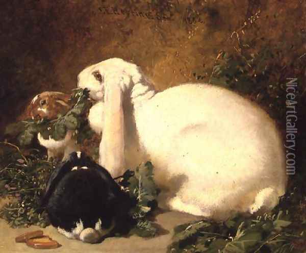 A Doe Rabbit and her two young, 1852 Oil Painting - John Frederick Herring Snr