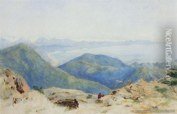 View Of Nelson From The Hills Oil Painting - John Gully