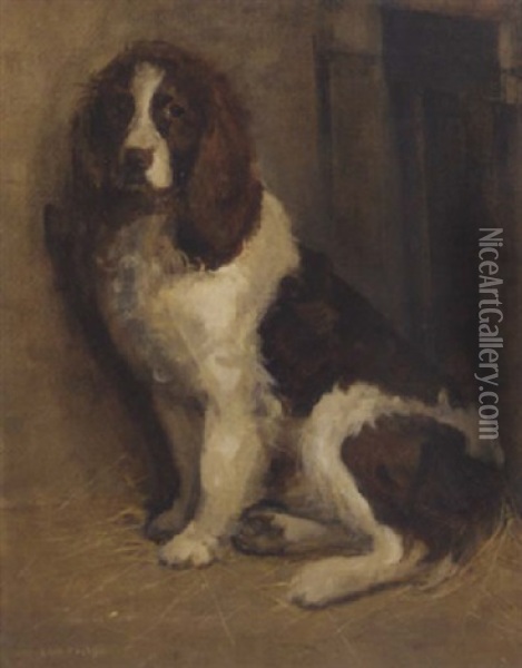 A Cocker Spaniel Oil Painting - Samuel Fulton