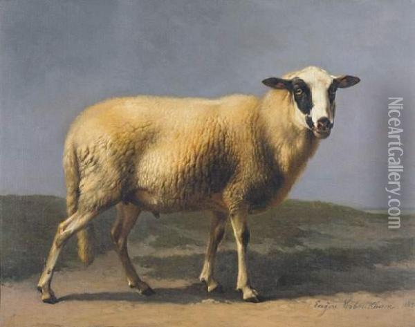 Schaap (1840) Oil Painting - Eugene Joseph Verboeckhoven