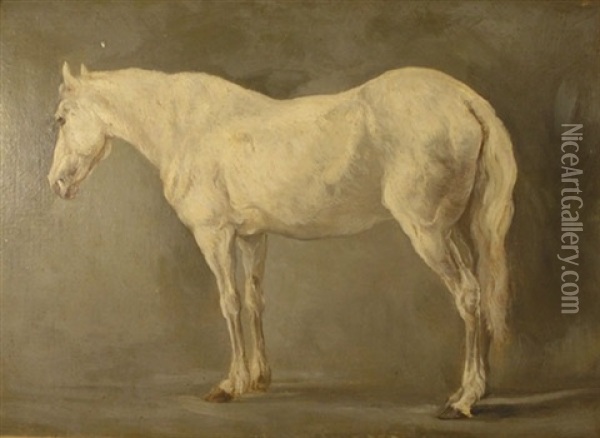 Portrait Of A Horse - Cheval Pommele Gris Oil Painting - Jacques-Laurent Agasse