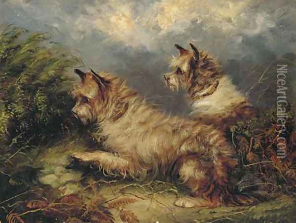Terriers at a rabbit hole Oil Painting - George Armfield