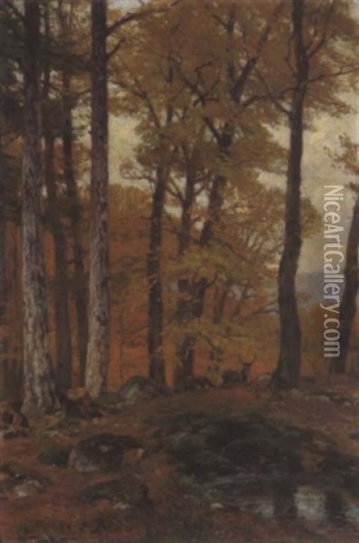 Rotwild Im Herbstwald Oil Painting - Hugo Darnaut