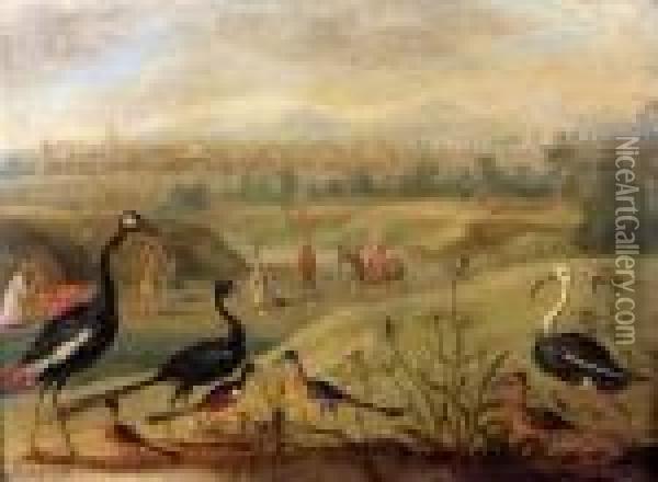 Oiseaux Dans Un Paysage Oil Painting - Jan van Kessel