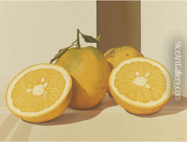 Oranges Oil Painting - Bortk Eduardo