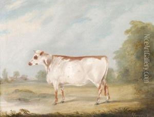 A Cow In A Landscape Oil Painting - J Scroggs