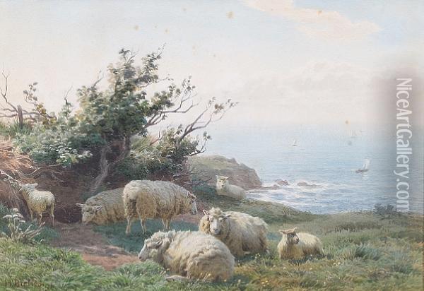 Sheep Resting In A Coastal Field Oil Painting - Henry Birtles
