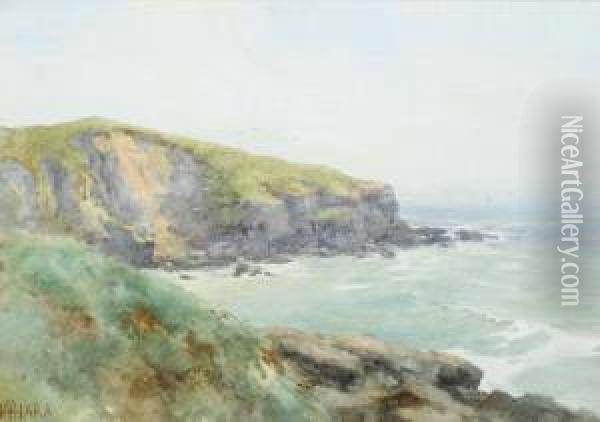 Coastal Cliffs And Gulls Oil Painting - Helen O'Hara