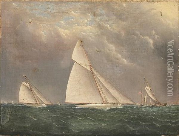 Regatta With Yachts "mayflower" And "huron" Oil Painting - James Edward Buttersworth