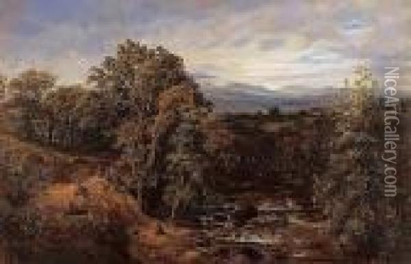 Near Dolgelly, North Wales Oil Painting - George Vicat Cole