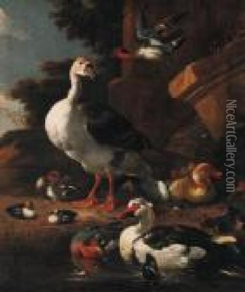 A Chinese Goose, An Egyptian 
Goose, A Muscovy Duck, A Wigeon Andteal With Other Waterfowl By A Pond 
Before A Pillar In A Park Oil Painting - Melchior de Hondecoeter