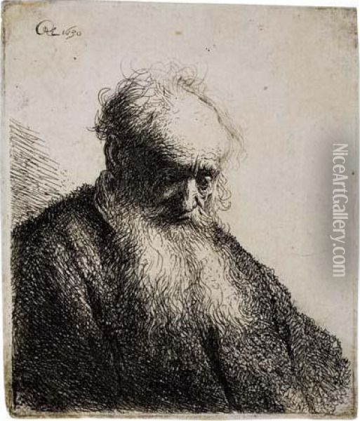 Old Man With A Flowing Beard Oil Painting - Rembrandt Van Rijn