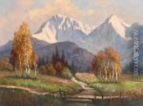 Blick Auf Verschneites Hochgebirge Oil Painting - Rudolf Weber