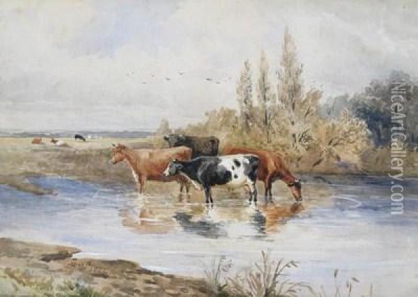 Cattle Watering By A River Oil Painting - A. Davis