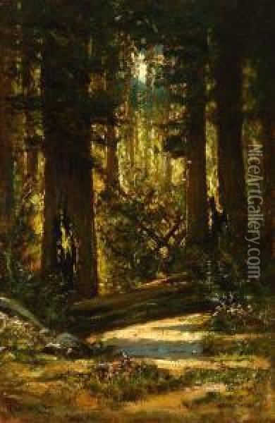Forest Interior Oil Painting - Manuel Valencia