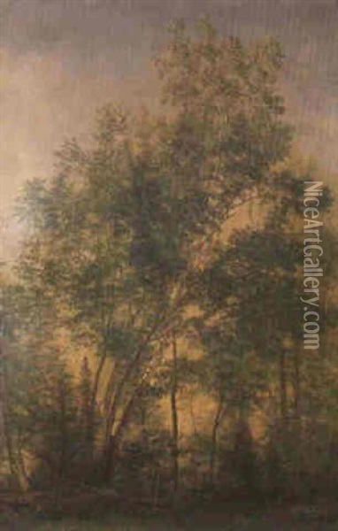 Trees Oil Painting - Albert Bierstadt