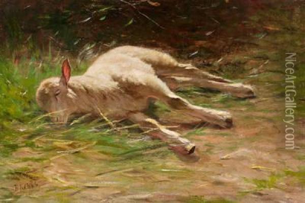Schlafendes Lamm Oil Painting - Hermann Johannes Van Der Weele