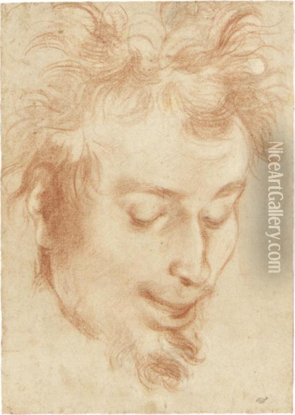 Head Of A Satyr, Looking Down Oil Painting - Giovanni Giovanni da San (Mannozzi)