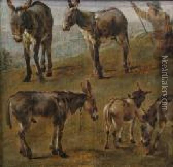 A Landscape With Studies Of Four Donkeys And A Foal, A Herdsman Nearby Oil Painting - Karel Dujardin