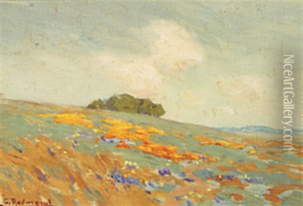 Poppies And Lupine In California Landscape Oil Painting - Granville S. Redmond
