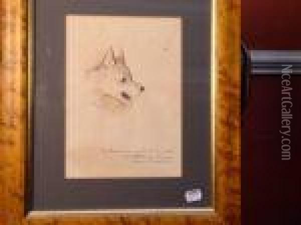 Study Ofa Dogs Head Oil Painting - Louis William Wain