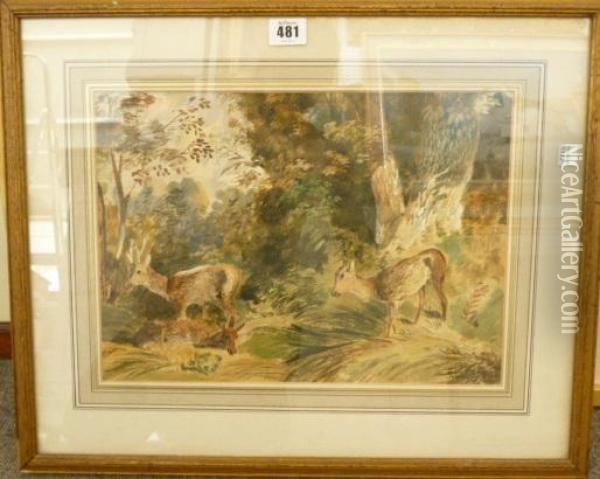 Deer In The Woods Oil Painting - Newton Fielding