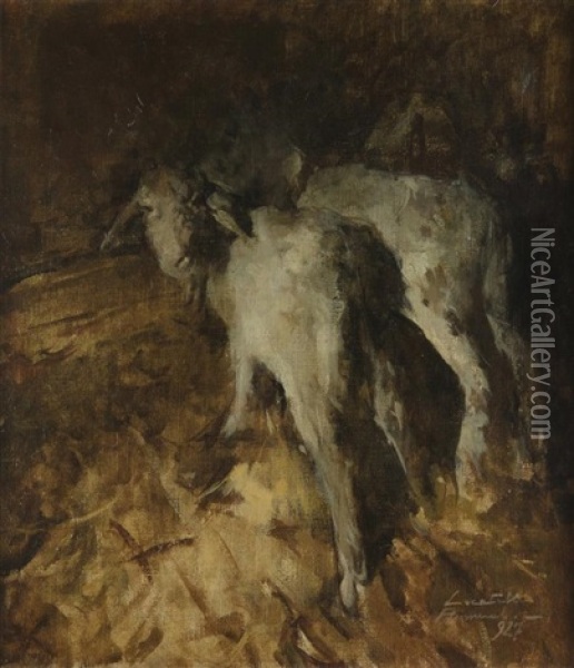 Lambs Oil Painting - Romualdo Locatelli