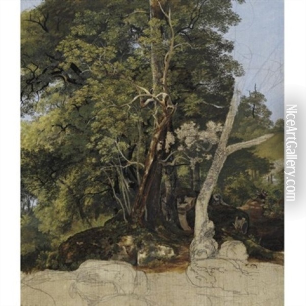 Study Of Trees Oil Painting - Friedrich Salathe