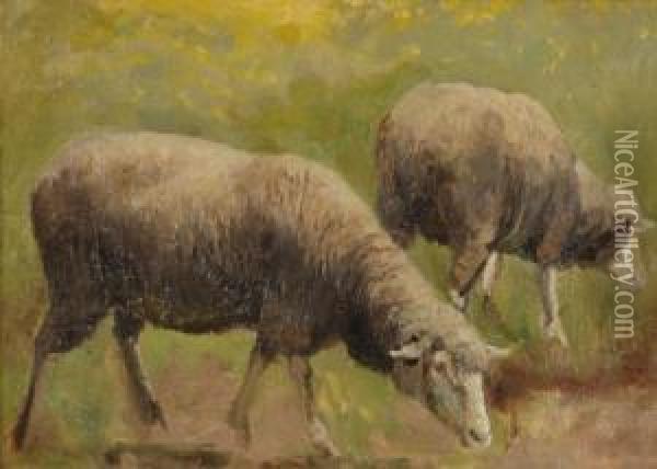 Etude De Moutons Oil Painting - John-Lewis Shonborn