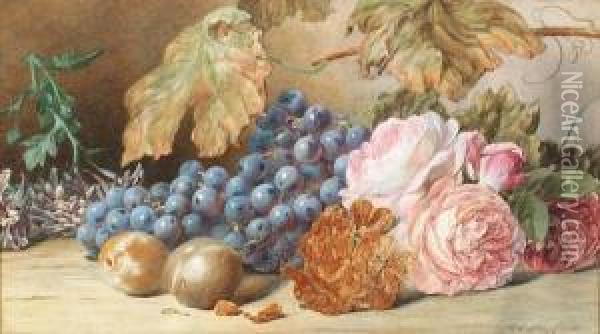 Still Life Of Roses, Grapes And Plums On A Ledge Oil Painting - Mary Elizabeth Duffield
