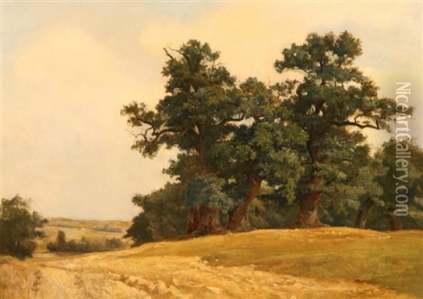 Summer Forest Oil Painting - Eugen Gustav Duecker